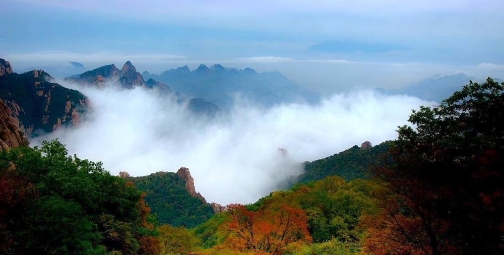 原始野生天女木兰花仅存在祖山,每年花期都吸引大批摄影爱好者前来.