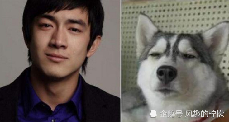 躲过了孙红雷的牛头梗,黄渤的秋田犬,却躲不过李荣浩的小眼睛