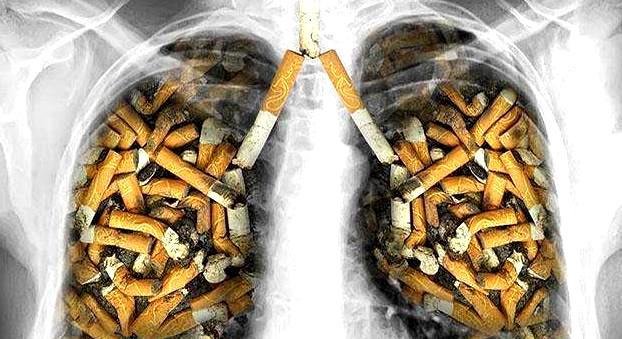 戒烟后,肺部还能恢复到原来的样子吗?看完后或许会受益!