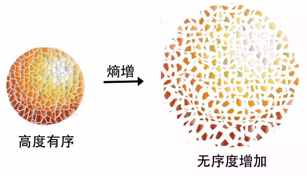 熵增是宇宙发展的趋势,但地球生命出现是熵减,为何会这样?