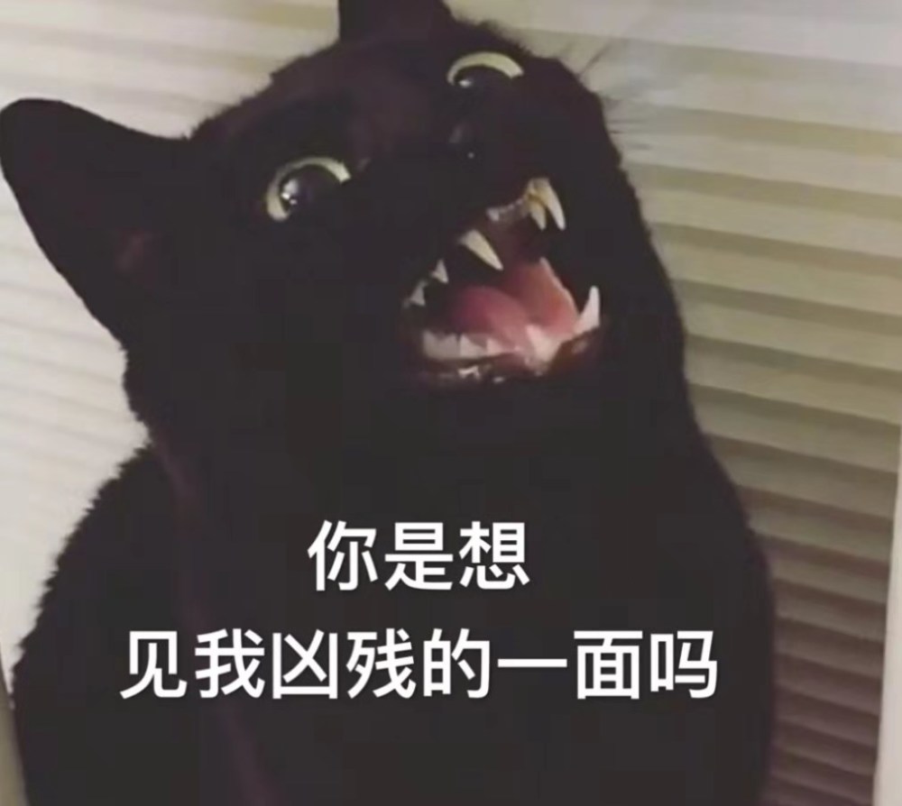 最近火了沙雕猫咪表情包,沙雕网友收图吧