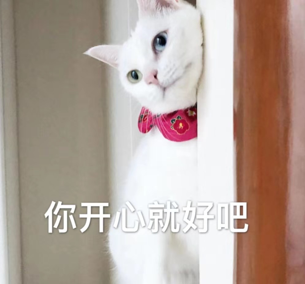 可爱的猫咪天生就会撒娇,像是这只,你开心就好吧