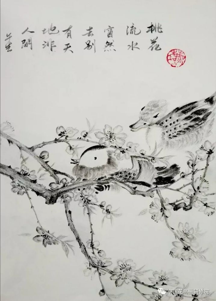 欢迎关注中国花鸟画研修院