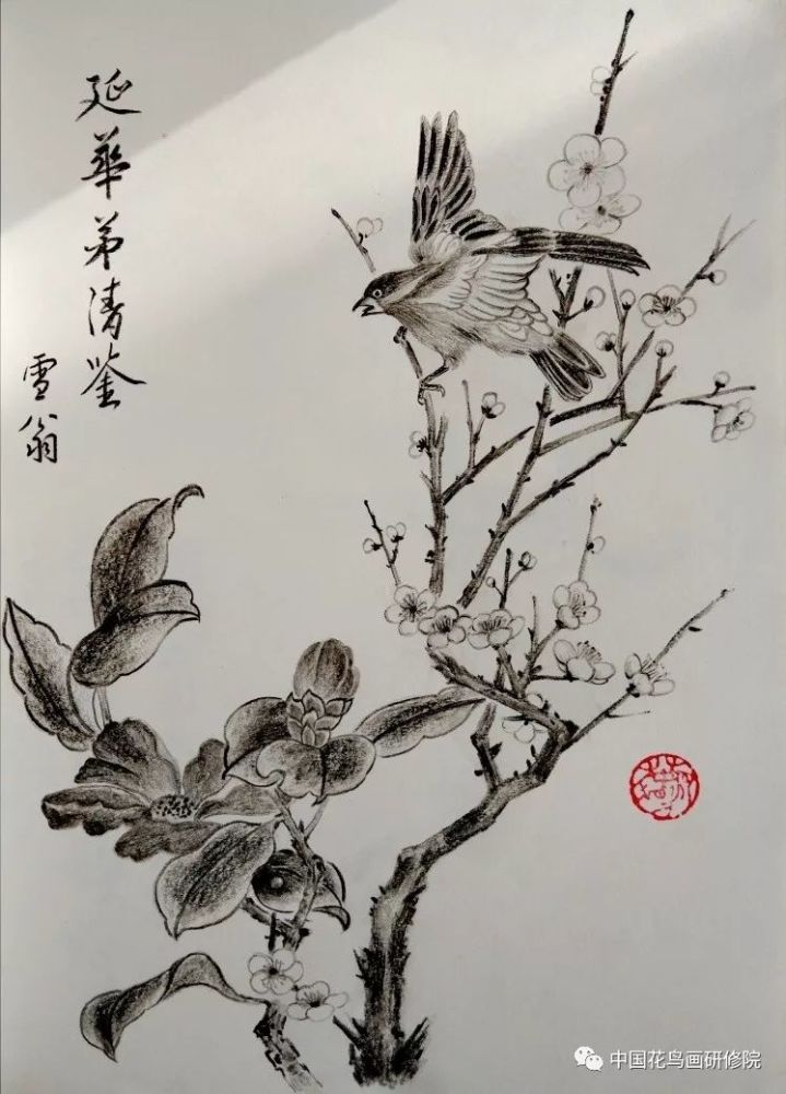 国画名家素描作品之"花鸟篇"