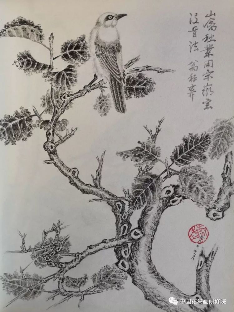 国画名家素描作品之"花鸟篇"