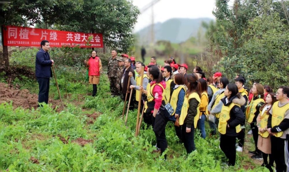 "植树节",龙泉街道区域化党建联盟单位为"大运会"添绿