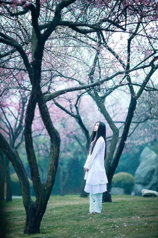 浅浅喜,静静爱,深深思索,淡淡释怀