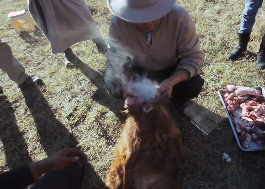 蒙古正宗的羊布袋,石头烤肉,我们是想都不敢想的做法