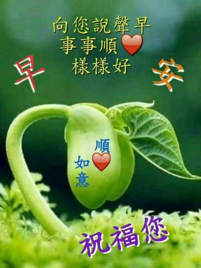 17最棒早安问候祝福语动画表情动态图片,温馨早安问候语图片