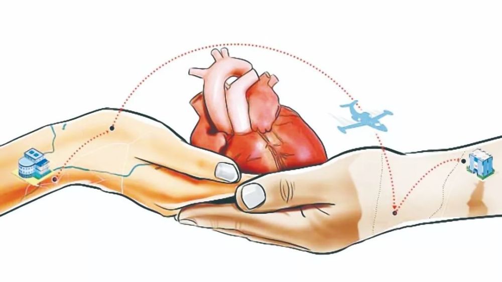 移植心脏跨洲运送
