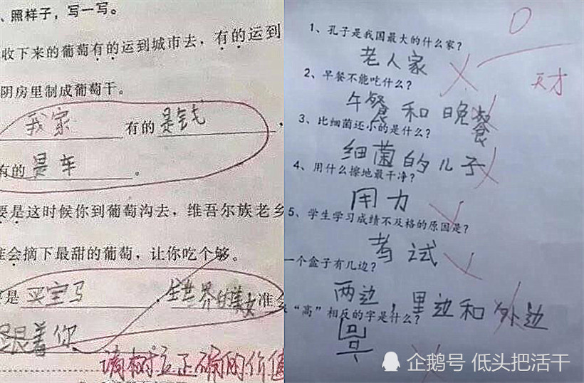 小学生的作业有多沙雕?分分钟笑出小鼻涕泡,网友:是个