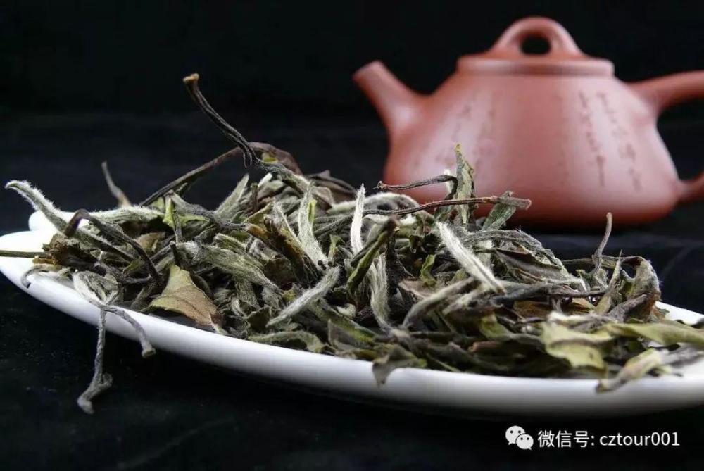 旅行的目的就是遇见另一个美好 溧阳这个苏南秘境从不让人失望 不出