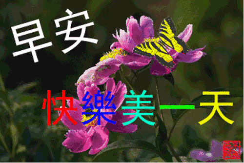 星期四特别漂亮清晨早安表情动态图片,暖心的早上好