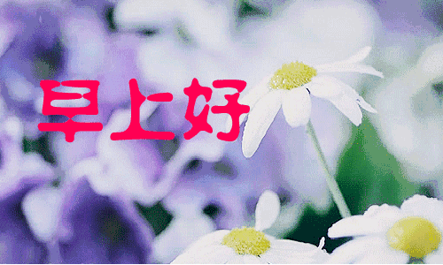 17最新清晨早上好问候动态表情图片,最美早安问候语