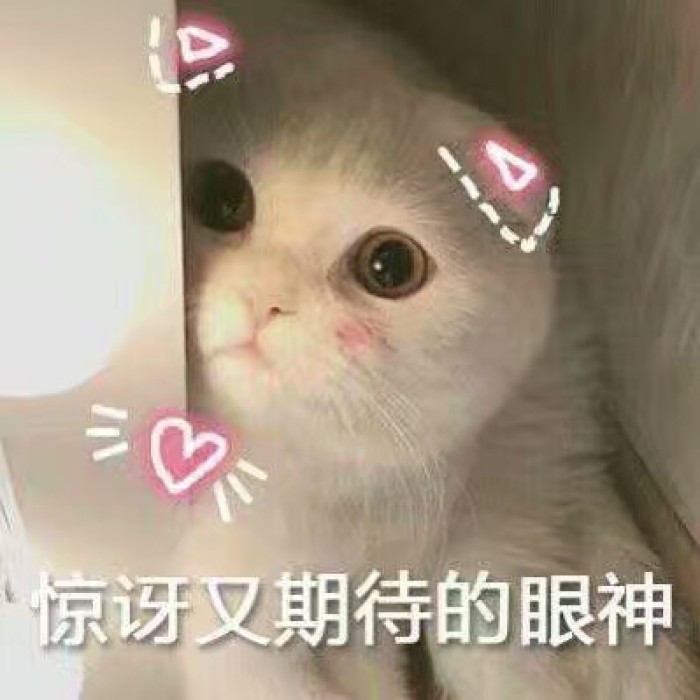 最近火了"超奶思 小奶猫"表情包:牵一下小猪猪的手好吗?