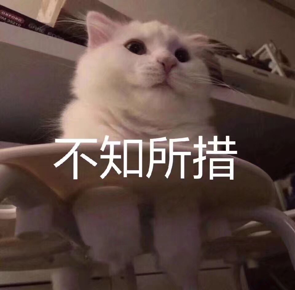 最近火了"超奶思 小奶猫"表情包:牵一下小猪猪的手好吗?