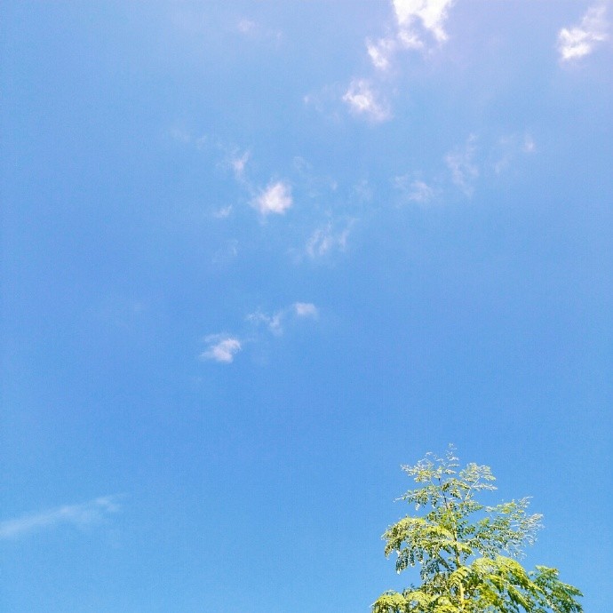 还是很春天的一张背景图呢~蓝天白云和树,组合起来清新