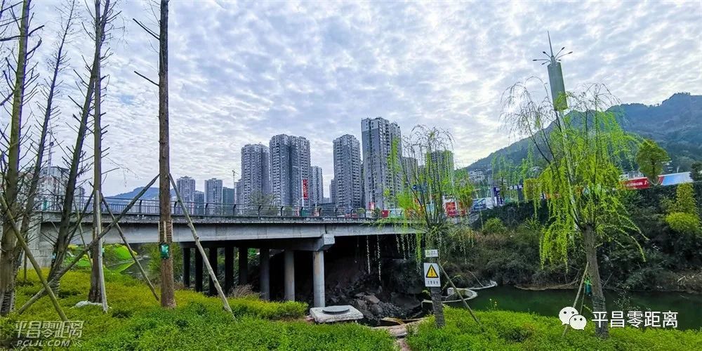(图:陈家沟大桥) 这座桥是平昌经济进入快车道时的 见证者,参与者