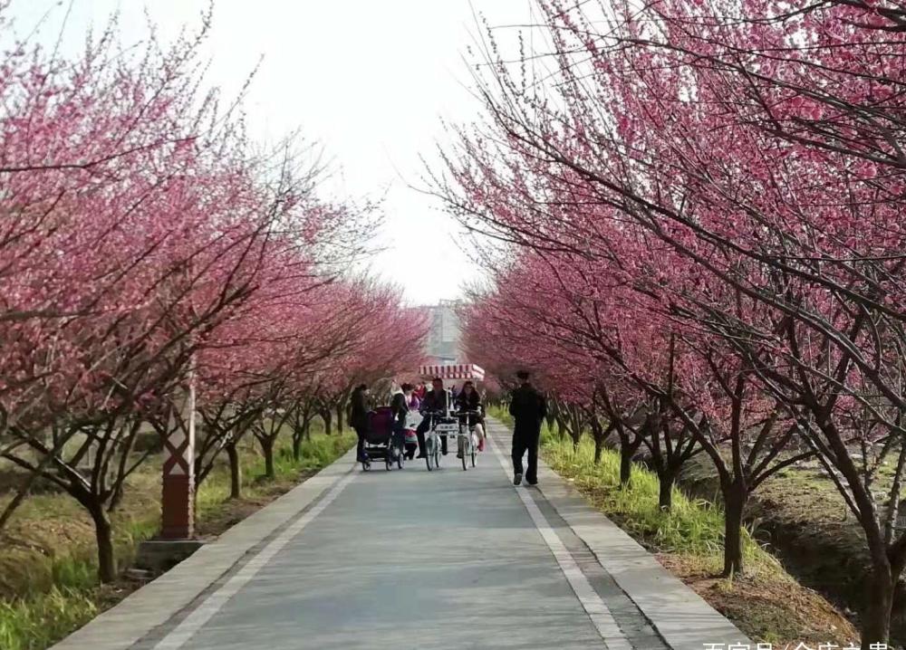 余庆:春回大地百花开,青山绿水景色美