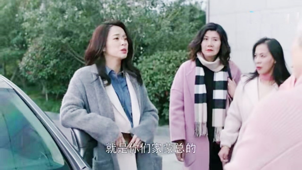《都挺好》蒙太其实很可爱,她是苏明玉的幸运之神