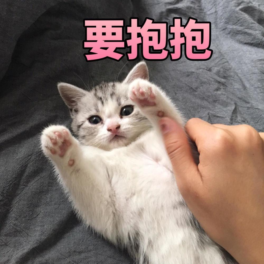 要亲亲,抱抱,举高高.不然人家就不喜欢你了.
