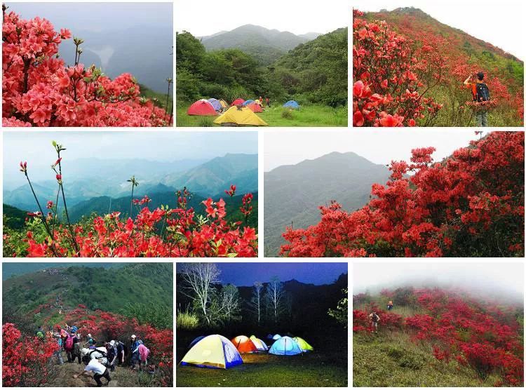 从化通天蜡烛山