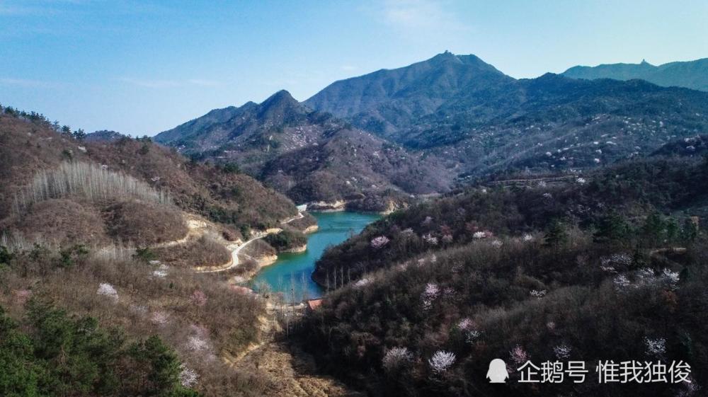 樱花,大洪山,随州,樱花谷,高山,灵官