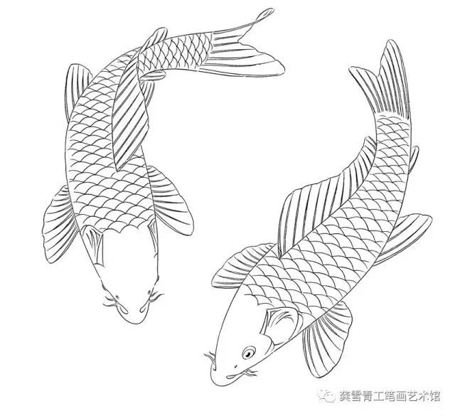 龚雪青工笔《鲤鱼百态》实用白描