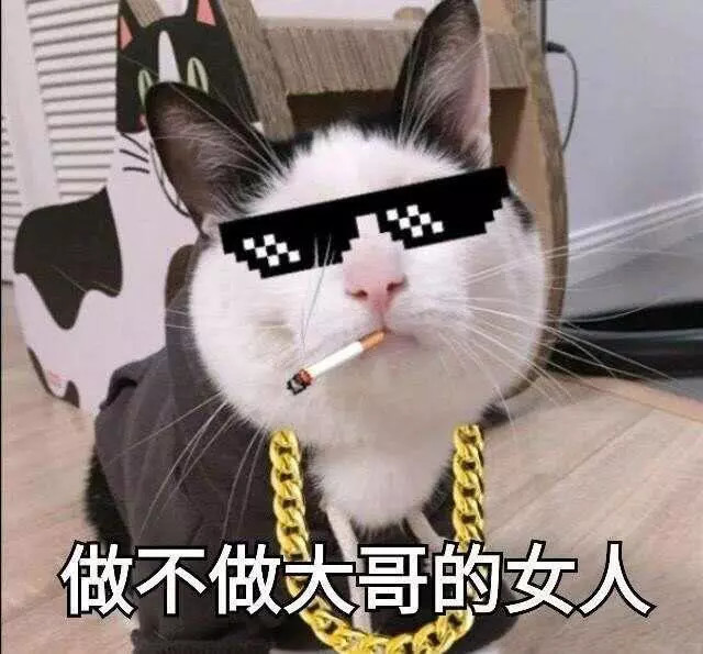 超傲娇的qq斗图表情包:一般般的我,一般般的开心,一般