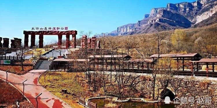 安阳林州:太行山森林运动公园