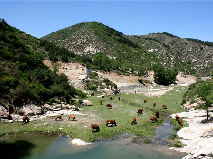 太原,寿阳县,景点,云竹湖,阳曲县,草原,忻州,太谷,栖湖,马川