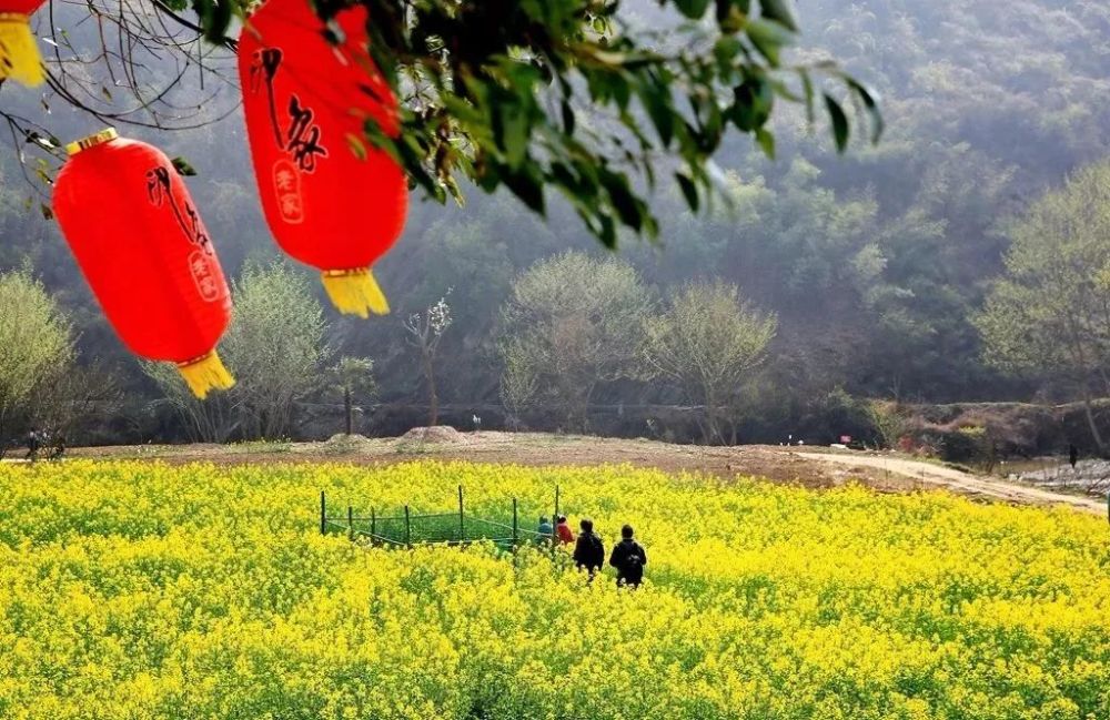 南漳最全赏花目的地都在这儿,这周末,约!