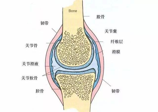 膝盖肿胀疼痛有积液,滑膜炎是什么原因引起的?