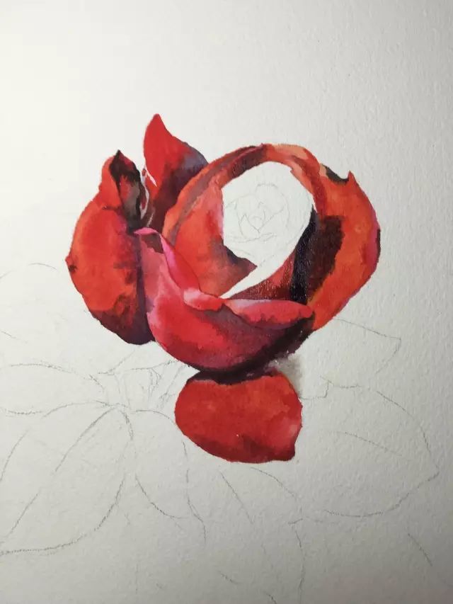 如果在家闲着无聊,那就跟我一起画一朵玫瑰花吧!