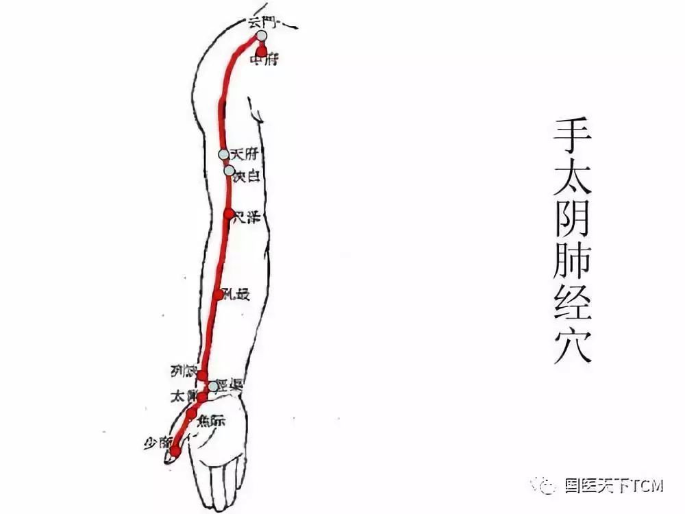 1. 拍打手臂内侧的肺经.