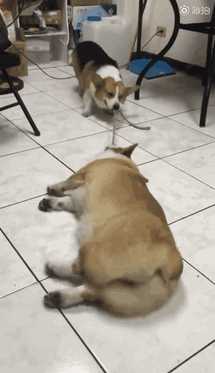 gif搞笑趣图:小伙子,记得下次停车的时候把钥匙关了!