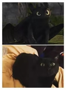 《驯龙高手》这是夜煞的本体?黑猫神同步,表情动作完美cos