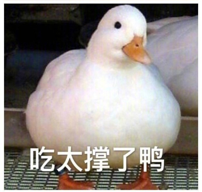 搞笑抬杠表情包:我这不是肉,这是我妈妈挣的钱!