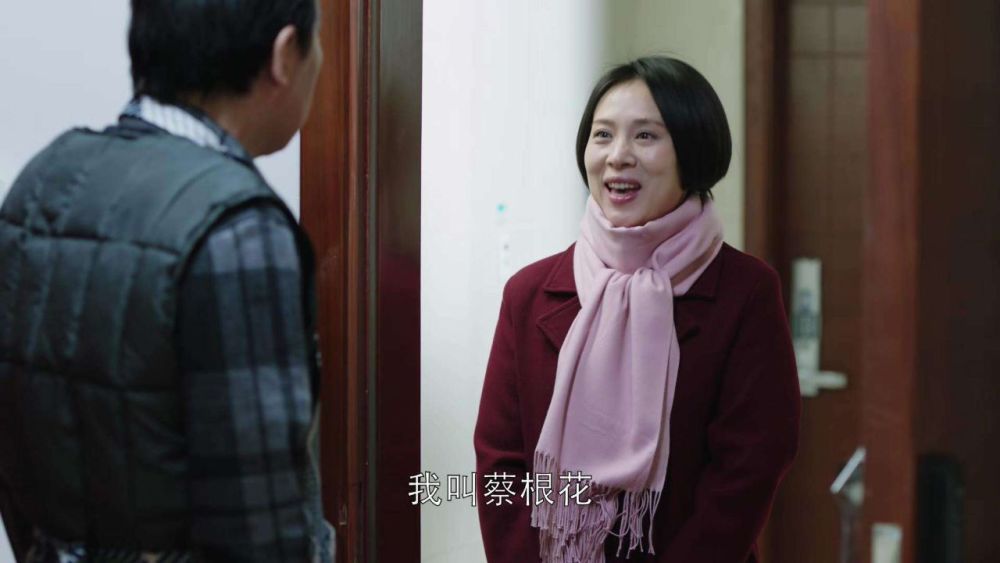 都挺好,苏大强,苏明玉,电视剧,小蔡