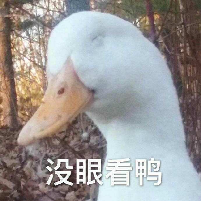 被摁住命运的后颈脖,那些动物匪夷所思的表情是如此有