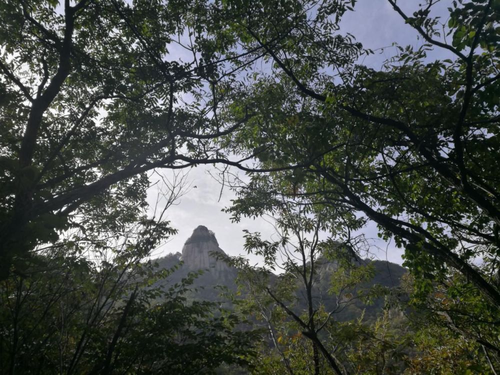 中原大地有两个春天 其中有一个春天叫西泰山 今报网 东方今报官方网站