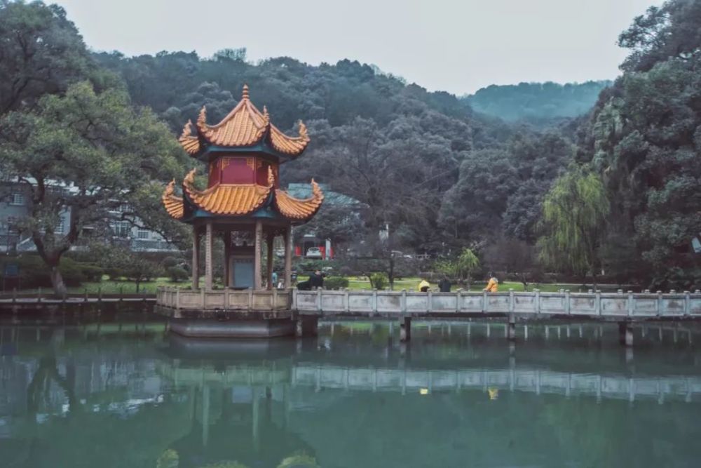 湖南,高校,永州职业技术学院,中南大学,春景