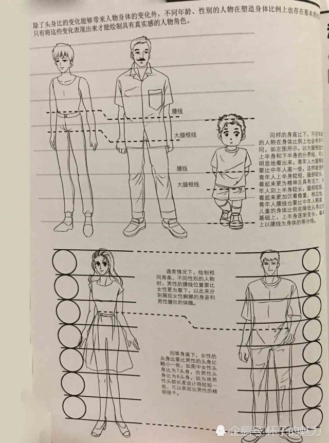 动漫人物宝典头身比例,学会画漫画速成方法,动漫迷的福利