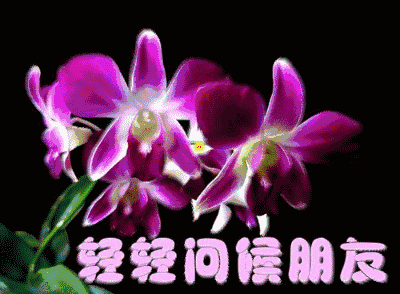 星期四特别漂亮清晨早安表情动态图片,暖心的早上好问候祝福语