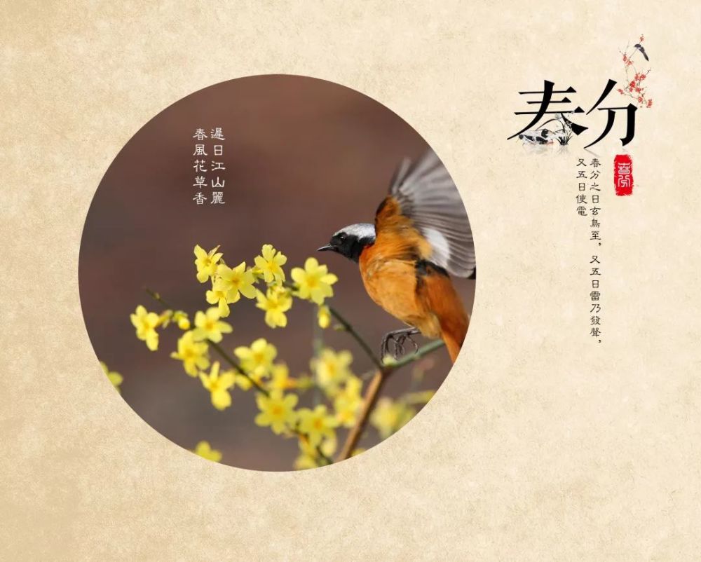 燕飞犹个个,花落已纷纷