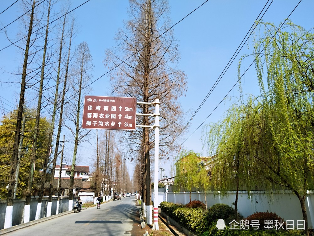 单骑逍遥追风去,百里骑行汉中采风油菜花第一站:铺镇