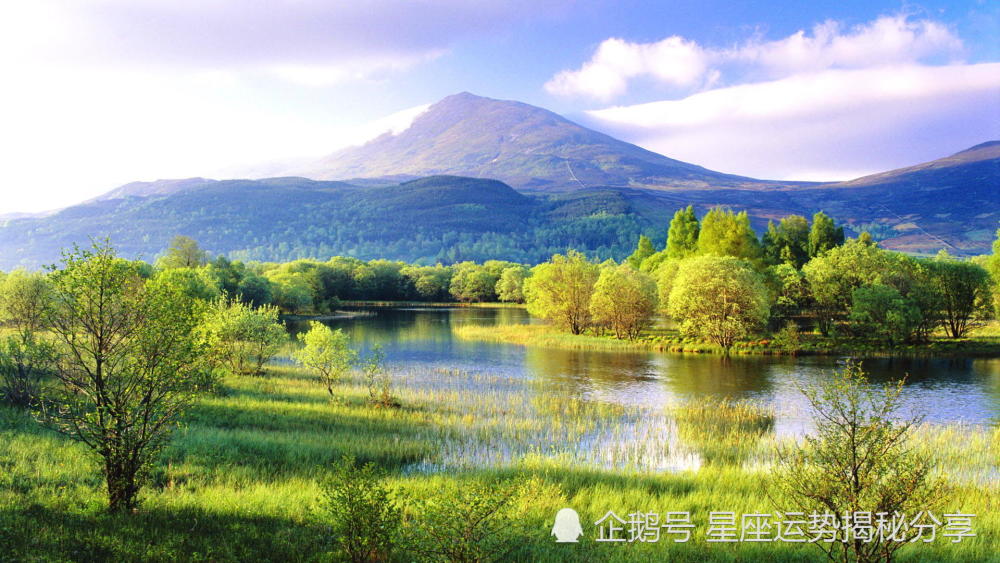 3月22号开始 迎财神接贵人 横财不断 不再做穷人的4大生肖 看点快报