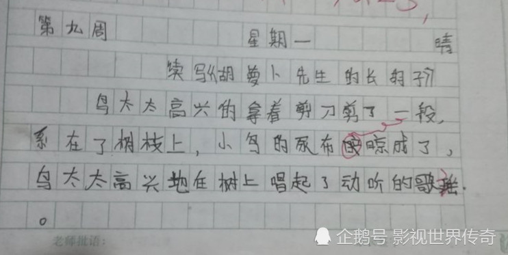 小学生搞笑日记,续写《胡萝卜先生的长胡子》,老师笑喷:秃了