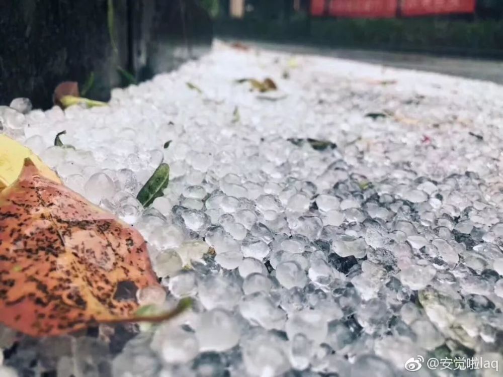 雷雨大风!江西多地积水严重!这些事情要注意