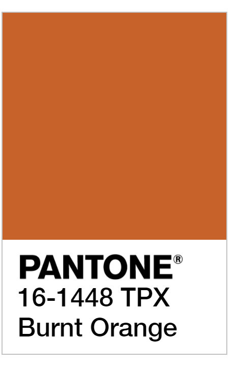 pantone色谱里称这种颜色是—— burnt orange(焦橙色).